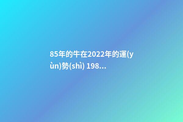 85年的牛在2022年的運(yùn)勢(shì) 1985年牛2022年運(yùn)勢(shì)如何 財(cái)運(yùn)職場(chǎng)大幅度改善-第1張-觀點(diǎn)-玄機(jī)派